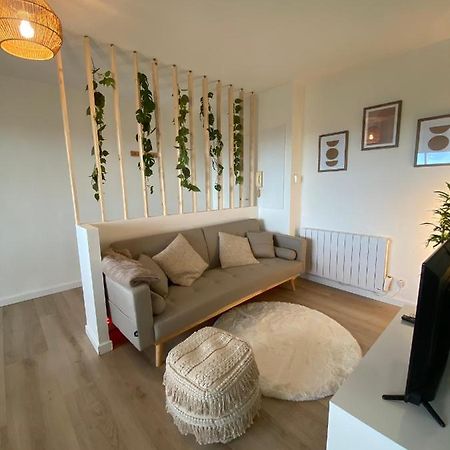 Appartement Cosy, Vue Imprenable Καρκασόν Εξωτερικό φωτογραφία