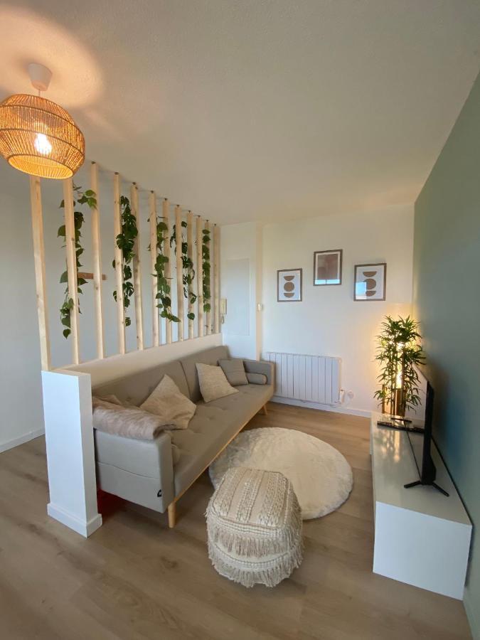 Appartement Cosy, Vue Imprenable Καρκασόν Εξωτερικό φωτογραφία