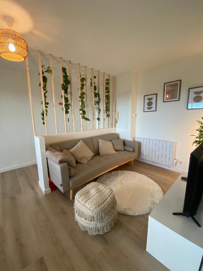 Appartement Cosy, Vue Imprenable Καρκασόν Εξωτερικό φωτογραφία