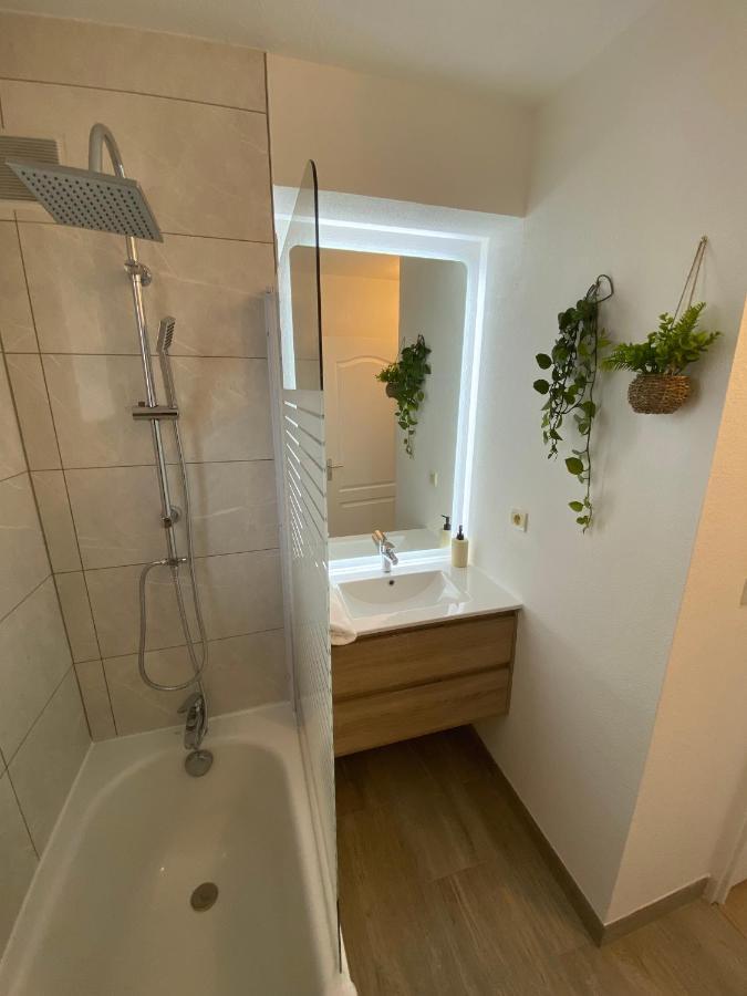 Appartement Cosy, Vue Imprenable Καρκασόν Εξωτερικό φωτογραφία