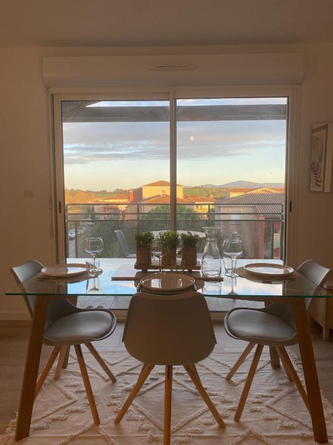 Appartement Cosy, Vue Imprenable Καρκασόν Εξωτερικό φωτογραφία